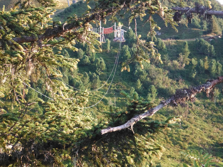 DSCF8117